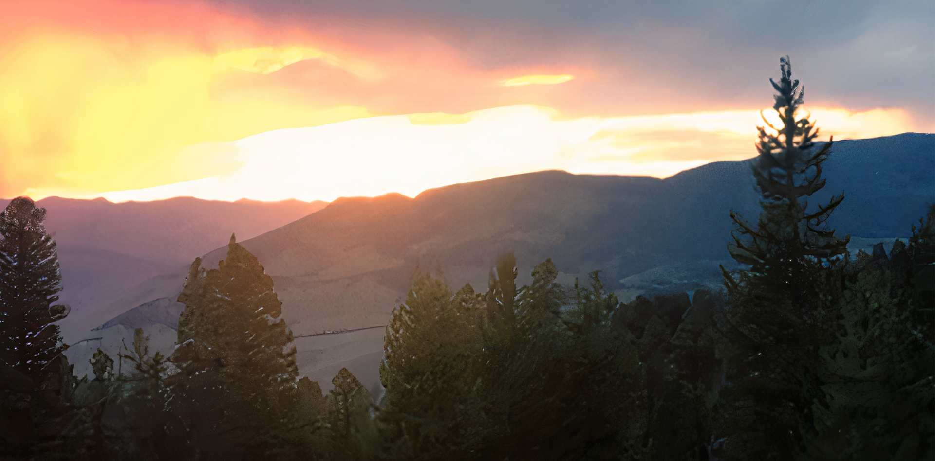 Untitled design - 2025-08-25T114825.858