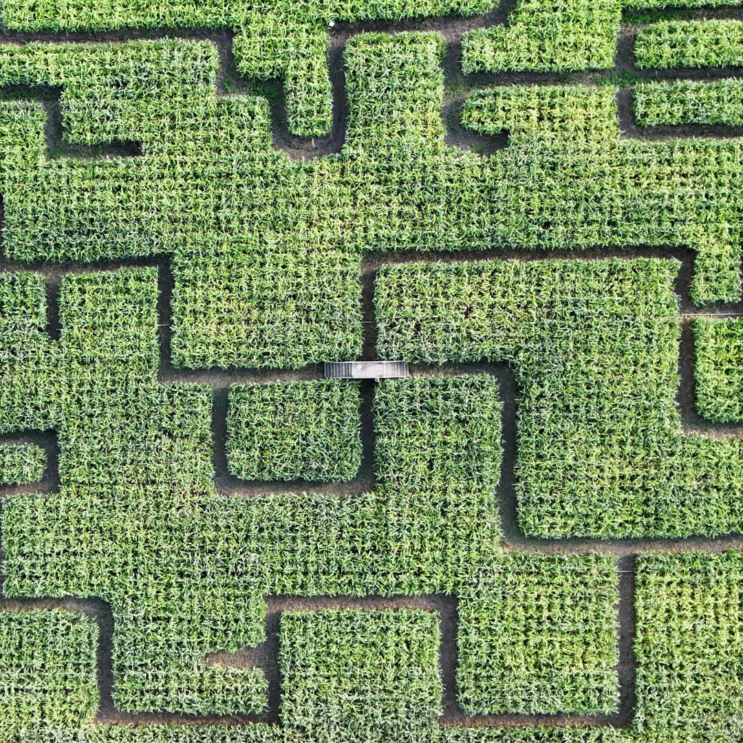 Untitled design - 2025-09-04T150855.280